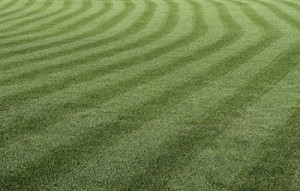 commercial lawn maintenance wayne nj