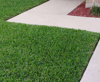 lawn edging service